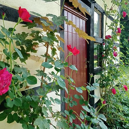 Bnb Het Geluk Van Limburg Mechelen Ngoại thất bức ảnh