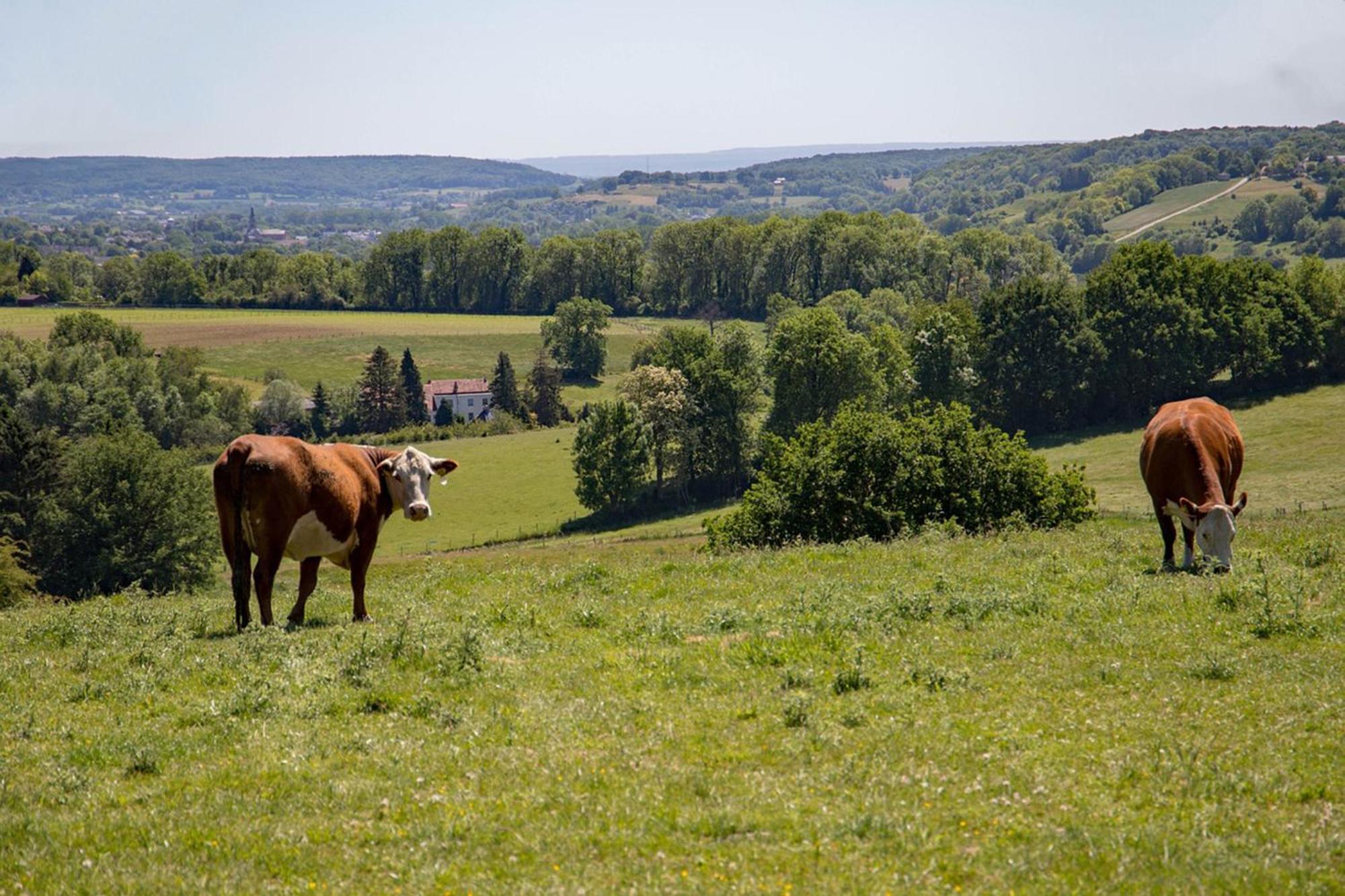Bnb Het Geluk Van Limburg Mechelen Ngoại thất bức ảnh
