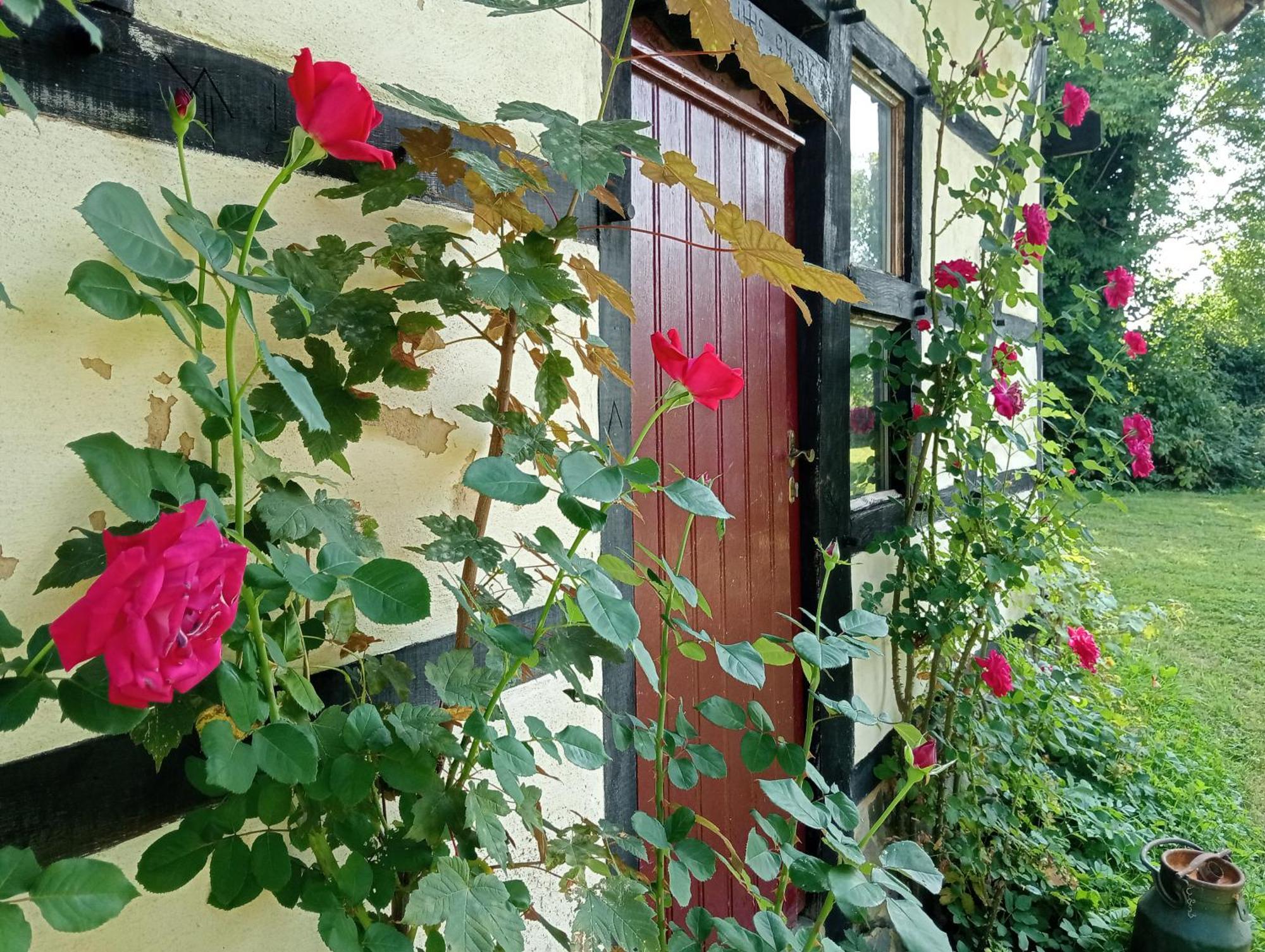 Bnb Het Geluk Van Limburg Mechelen Ngoại thất bức ảnh